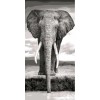 REF384 - PEINTURE PAR NUMEROS - KIT DIY - ELEPHANT NOIR ET BLANC